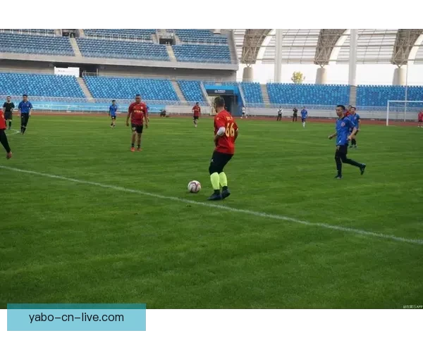 世界杯竞猜热潮来袭球迷智慧与激情交织的终极挑战盛宴