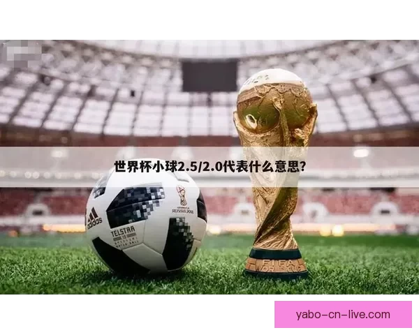 深度解析2026世界杯竞猜盘口走势与热门球队胜负概率全面前瞻
