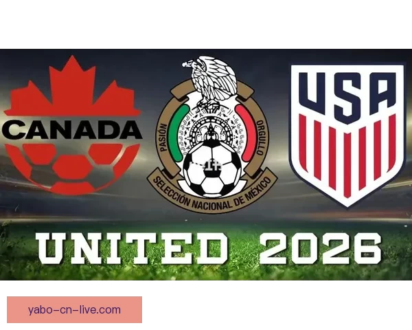 美加墨世界杯赛场全景呈现：足球盛宴与文化交融的激情碰撞